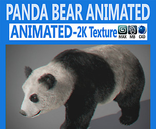 Animated Panda Bear