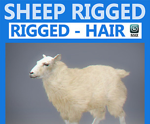 Rigged Sheep