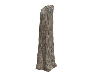 Giant Redwood (Sequoia) Tree #02 - Tree Stump
