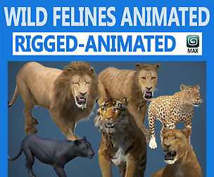 Pack - Wild Felines Animated