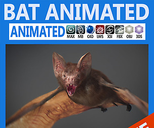 Vampire Bat