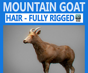 Rigged Mountain Goat