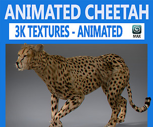 Animated Cheetah