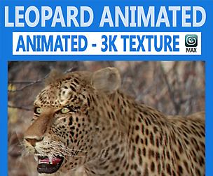 Animated Leopard