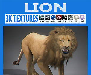 Lion