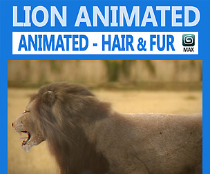Animated Lion