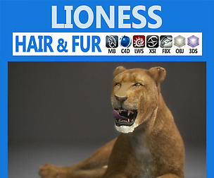 Lioness