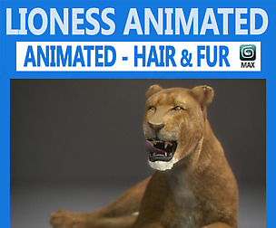 Animated Lioness