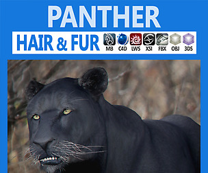 Panther