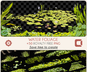 Water Foliage - PNG Photo Pack