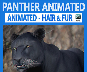 Animated Panther