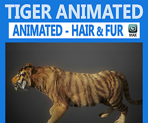 Animated Tiger