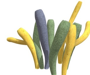 Tube Sponge #03