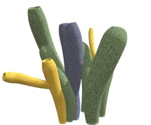 Tube Sponge #04