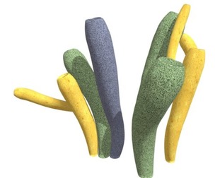 Tube Sponge #05