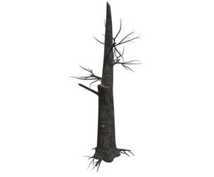 Burnt Tree #04