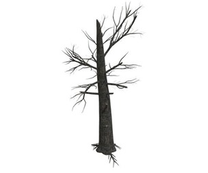 Burnt Tree #05