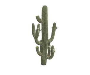 Saguaro Cactus #02