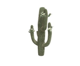 Saguaro Cactus #04