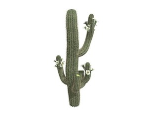 Saguaro Cactus #05