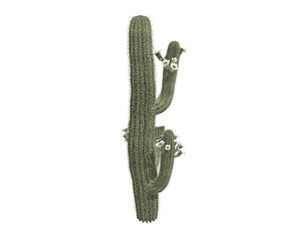 Saguaro Cactus #06