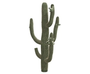 Saguaro Cactus #07