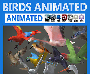 Pack - Birds Animated