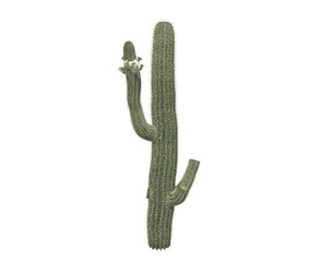 Saguaro Cactus #08