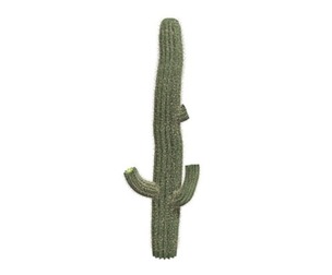 Saguaro Cactus #09