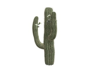 Saguaro Cactus #10