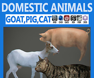Pack - Domestic Animals