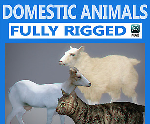 Pack - Domestic Animals Rigged