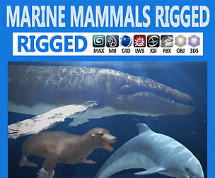 Pack - Marine Mammals