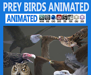 Pack - Prey Birds Animated