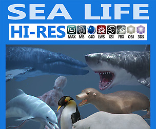 Pack - Sea Life