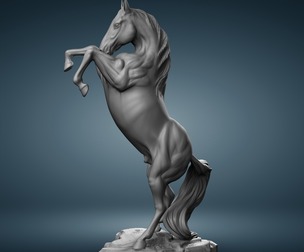 wild horse