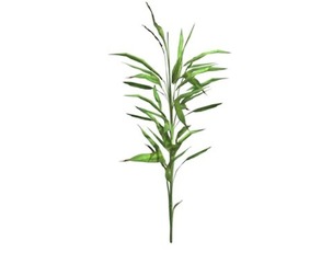 Switch Cane Plant #05