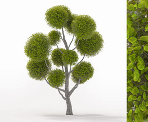 Tree modeling with Speedtree cinema