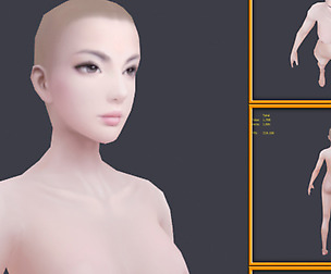 Realistic female Body [No Rig]
