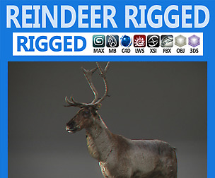 Rigged Deer