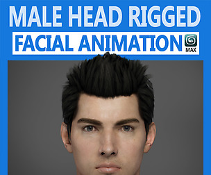Adult Male Head Rigged