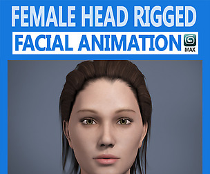 Adult Female Head Rigged
