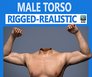 Adult Male Torso Rigged