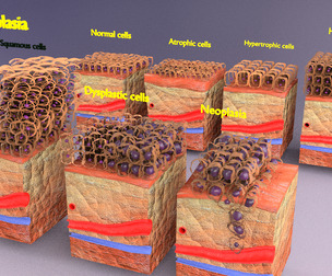 cell adaptation 3D model