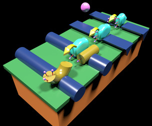 coagulation cascade common pathway 3D model