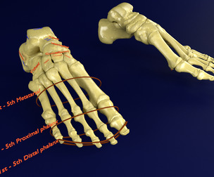 Foot with label text