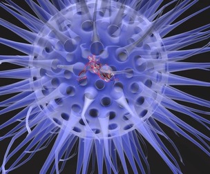 Virus animated with DNA detailed