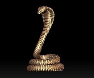 Cobra Snake