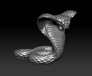 Cobra Snake