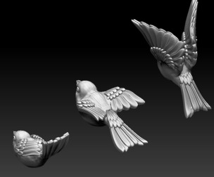 bird